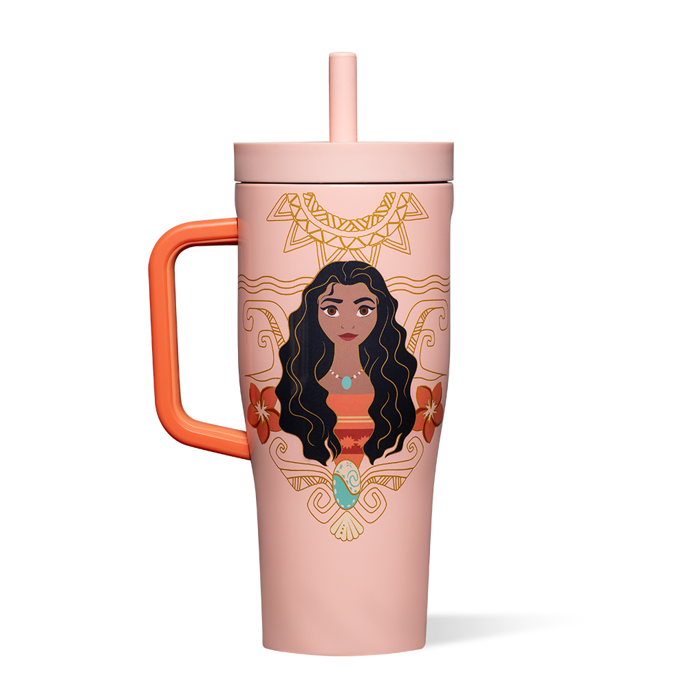disney-princess-leakproof-cruiser-n5 DIS2222DP-M-01.png