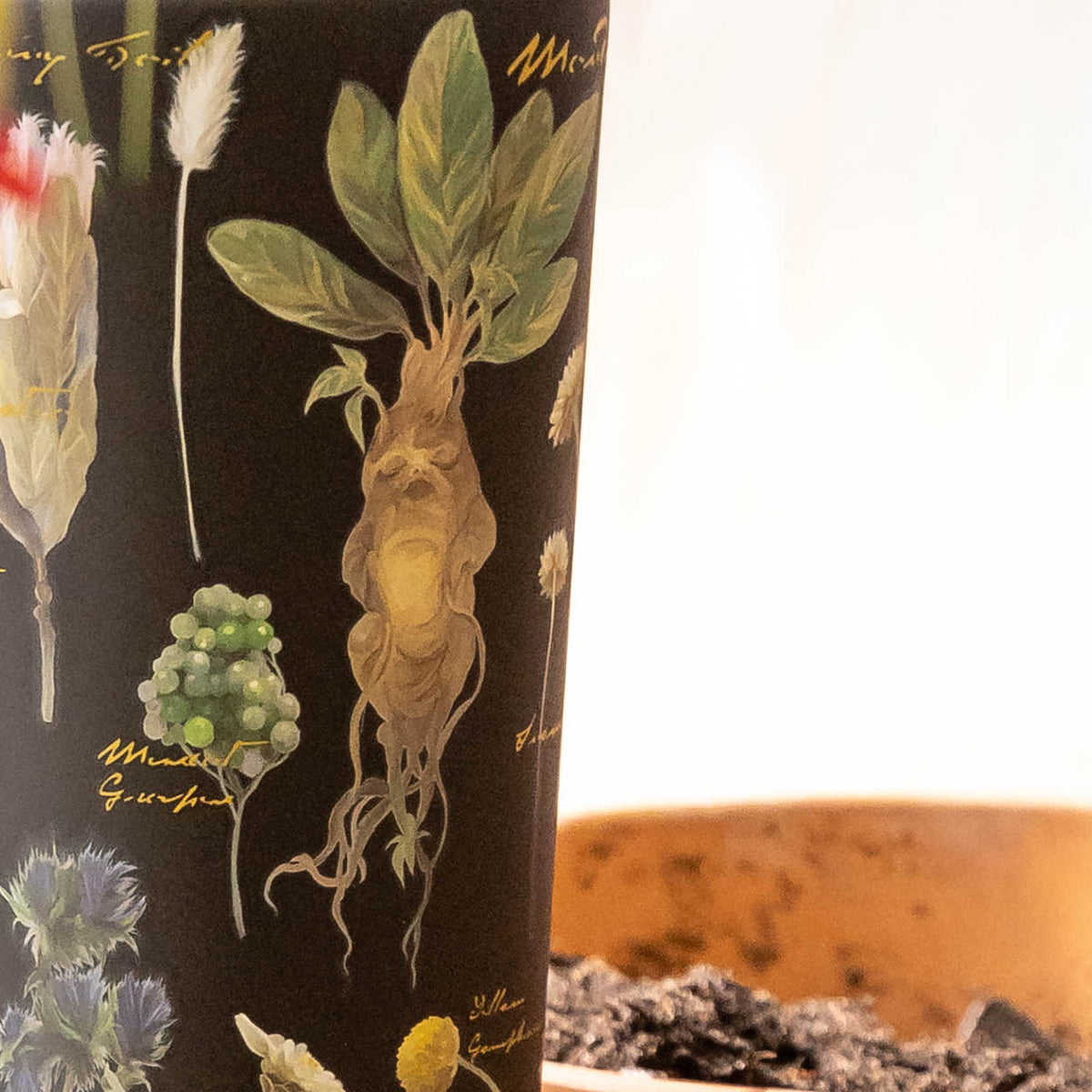 harry-potter-cold-cup-f6 Herbology-3.jpg