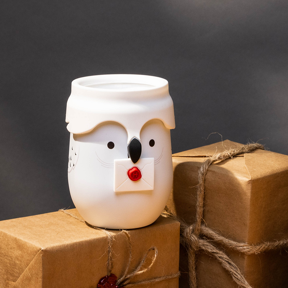 harry-potter-stemless-t4 da329e4f7c5d--Hedwig-Lifestyle-3.png